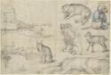 Albrecht Dürer, Sketches of Animals and Landscapes