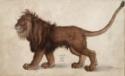 Albrecht Dürer, Lion